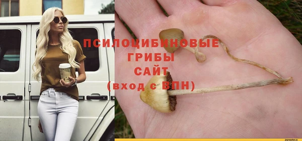 мяу мяу мука Армянск