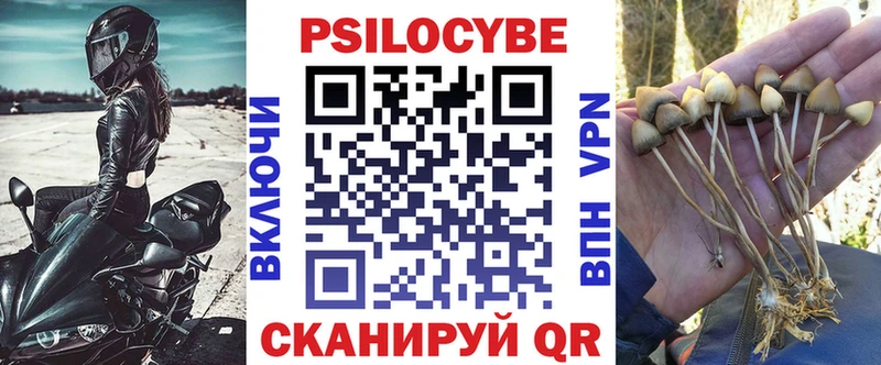 Галлюциногенные грибы Psilocybe  Карабаш 